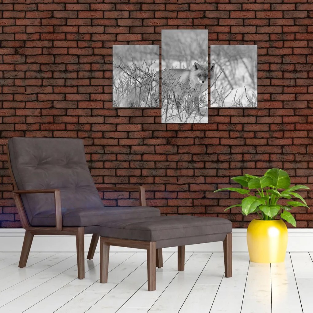 Tablou - Vulpe,alb-negru (90x60 cm)