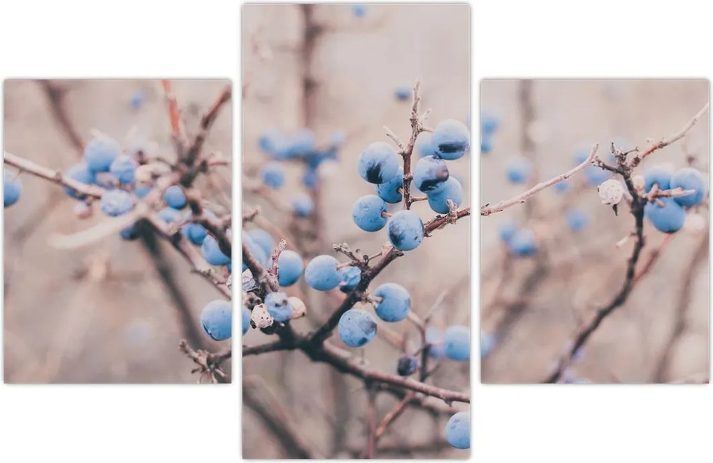 Tablou cu fructe pe tufiș (90x60 cm)