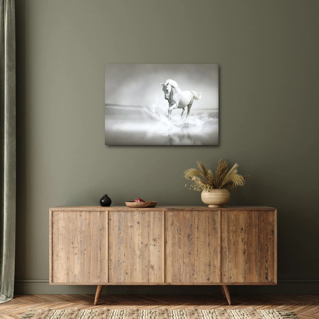 Tablou - Cal alb (70x50 cm)
