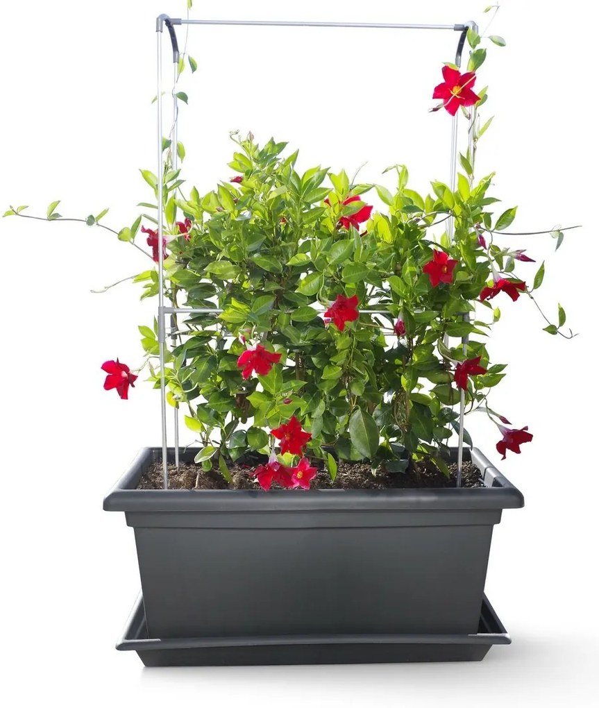 Suport vertical Gardenico Green Wall Magnus, 80cm, 80 cm