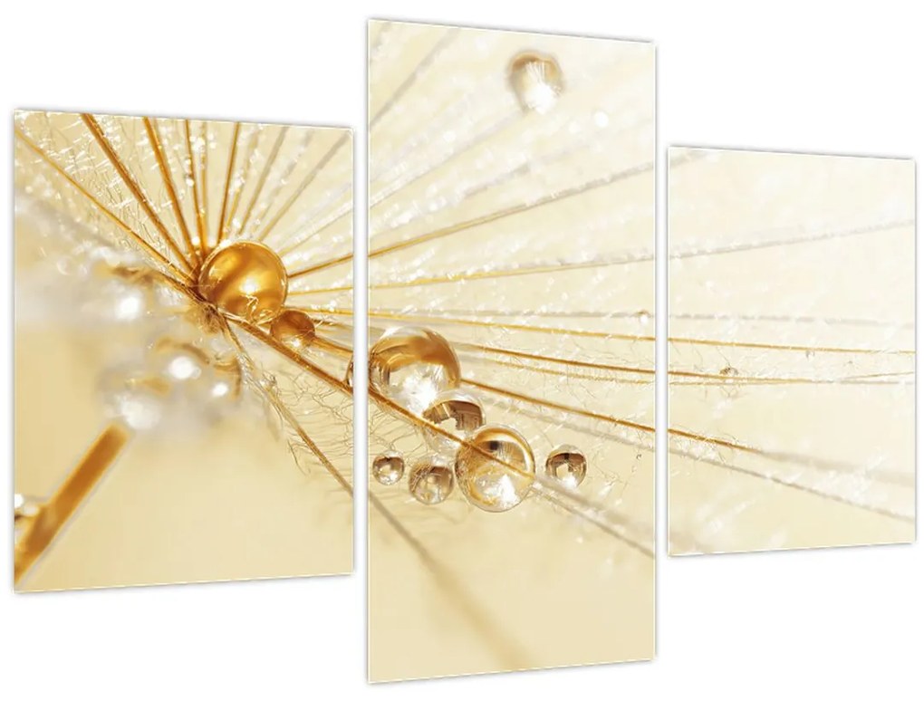 Tablou - Fotografie macro de păpădie (90x60 cm)