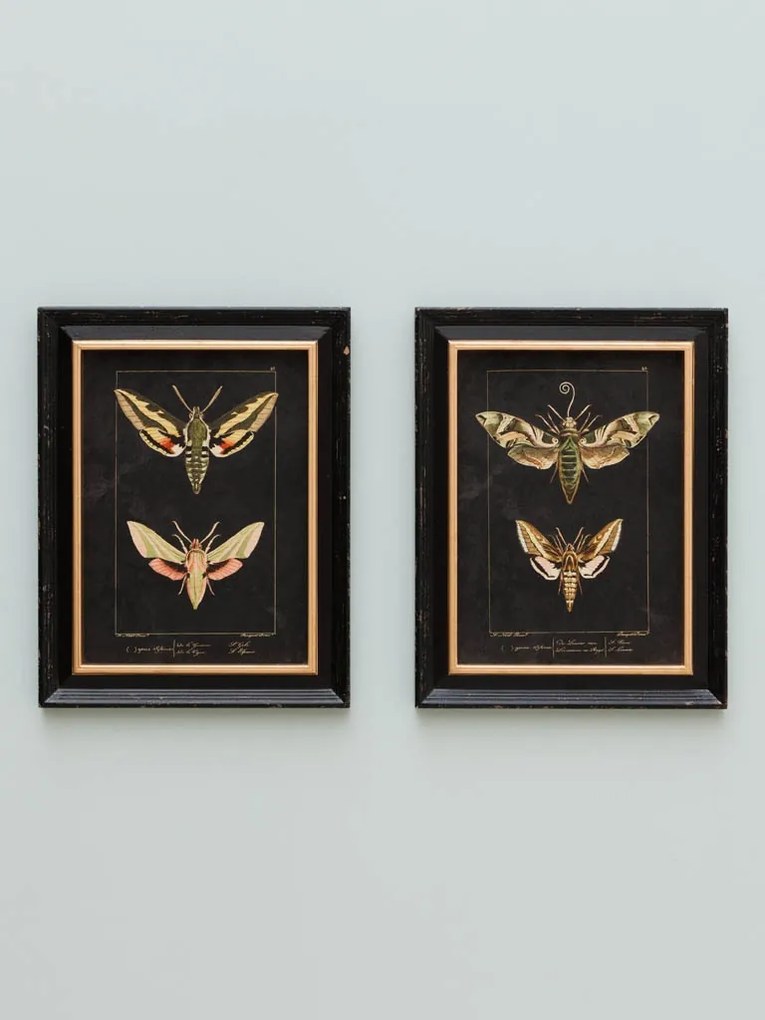 Set 2 tablouri, "Butterfly"
