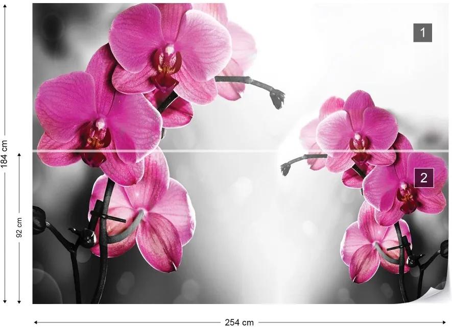 GLIX Fototapet - Pink Orchids Flowers Vliesová tapeta  - 254x184 cm