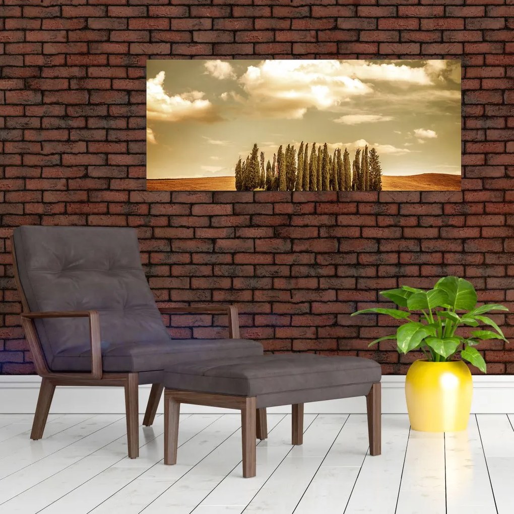 Tablou cu luncă (120x50 cm)