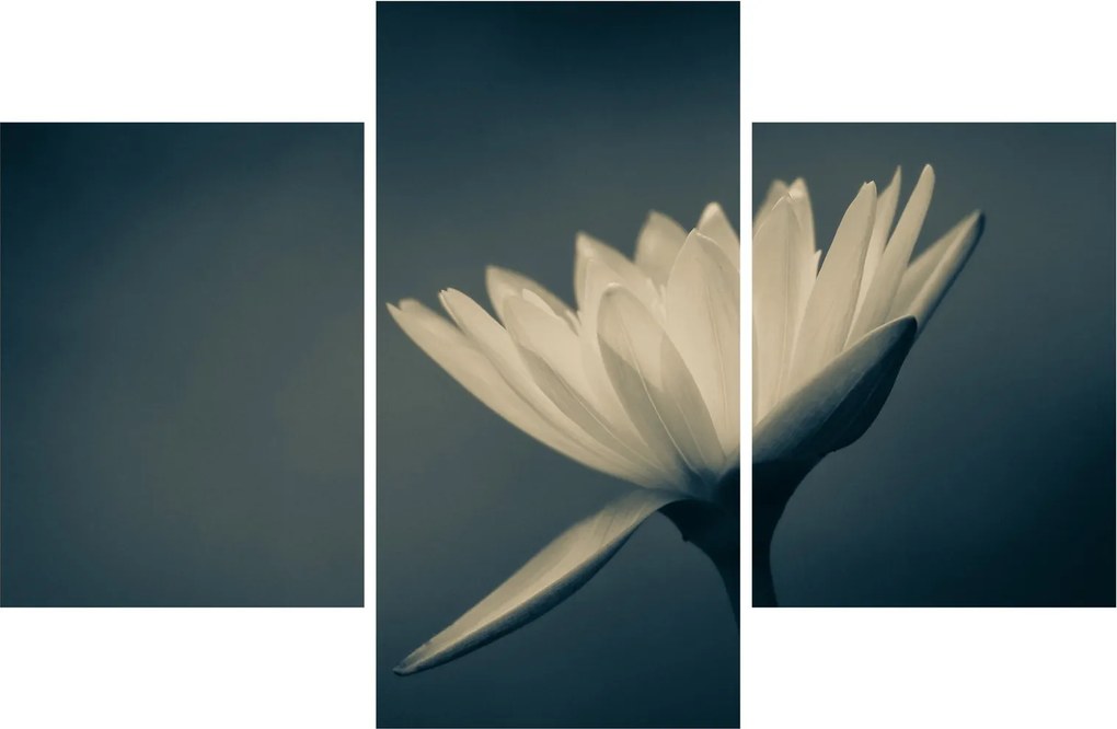 Tablou cu flori (90x60 cm)