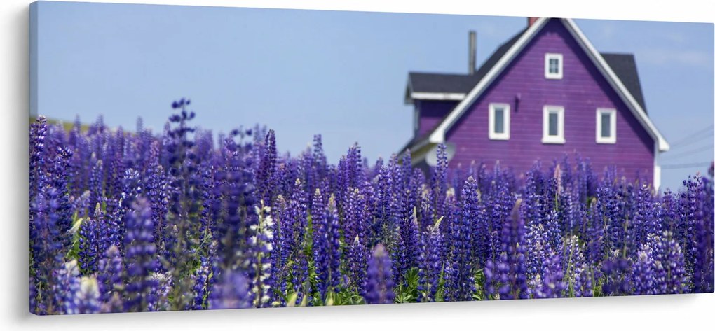 Tablou cu câmp de lavanda (120x50 cm)