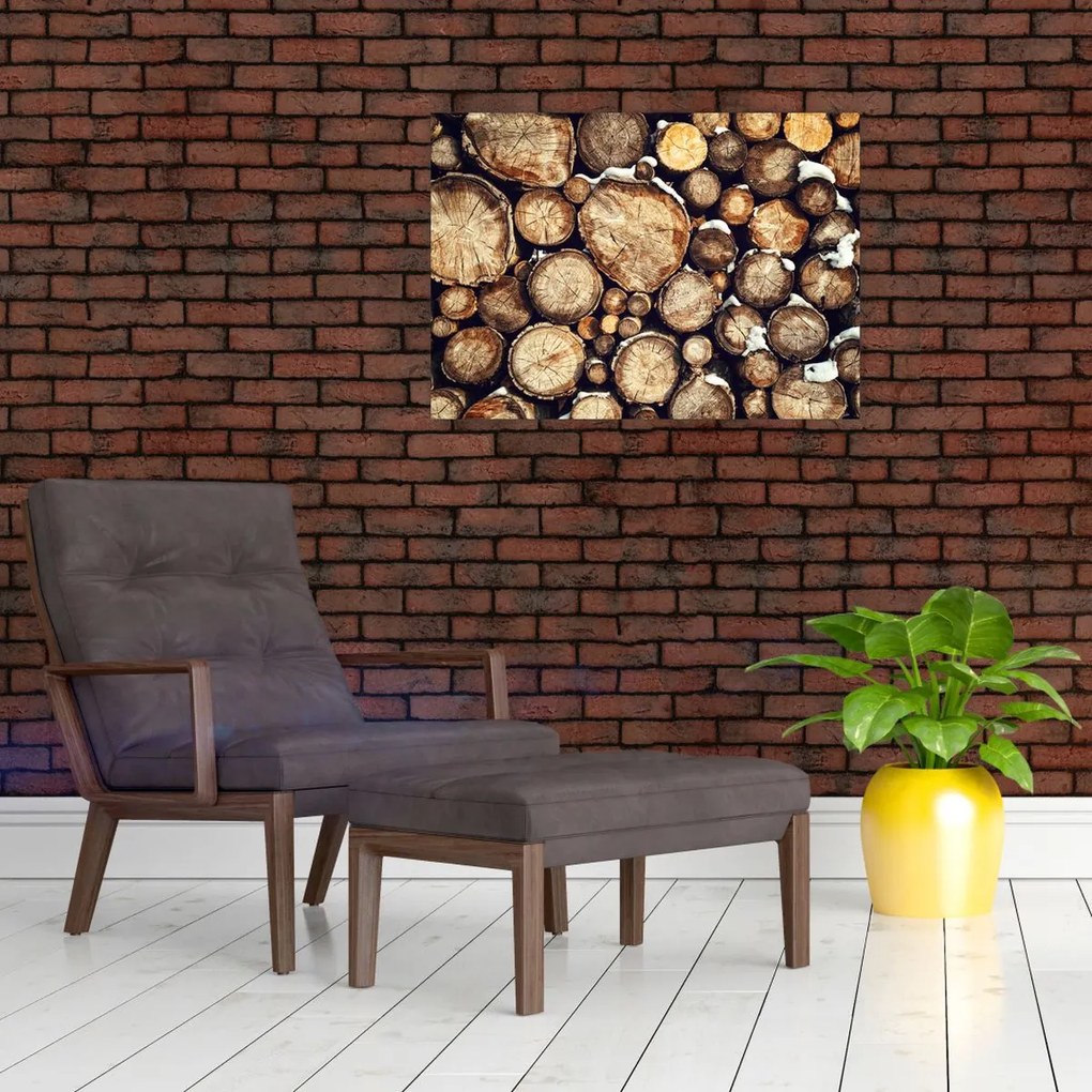 Tablou - Lemn în zăpadă (70x50 cm)