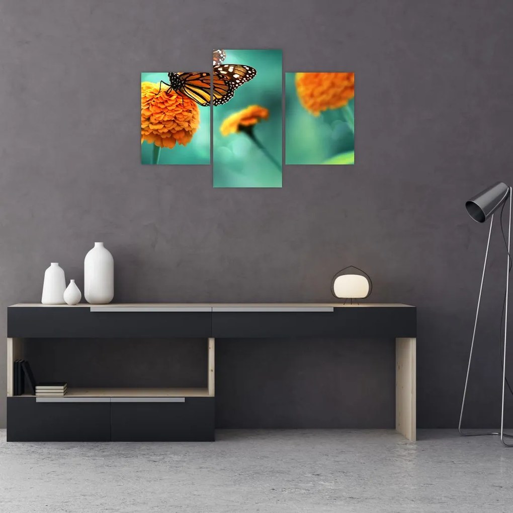 Tablou cu fluture (90x60 cm)