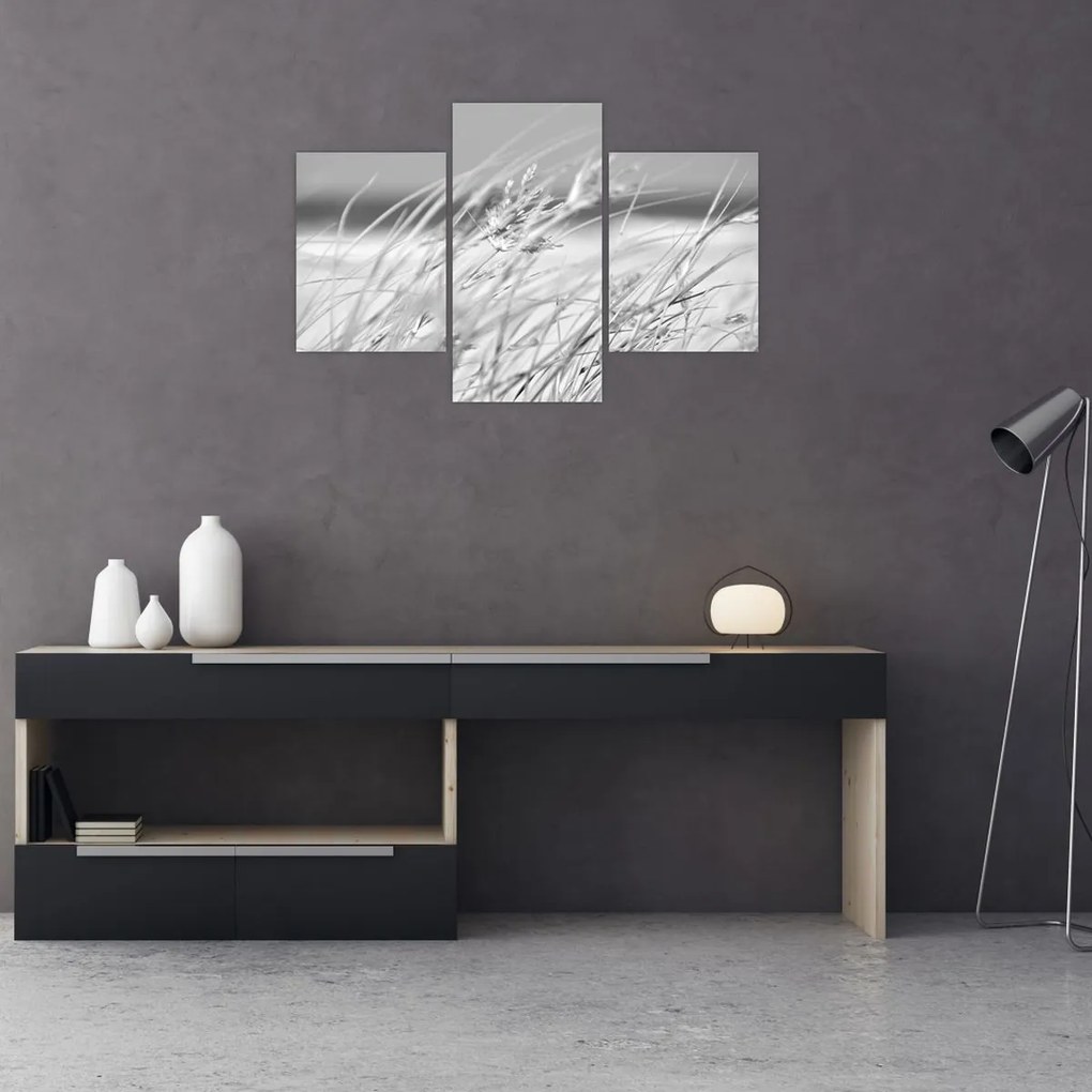 Tablou - Iarbă de plajă (90x60 cm)