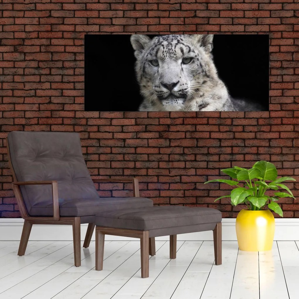 Tablou - Snow Leopard (120x50 cm)