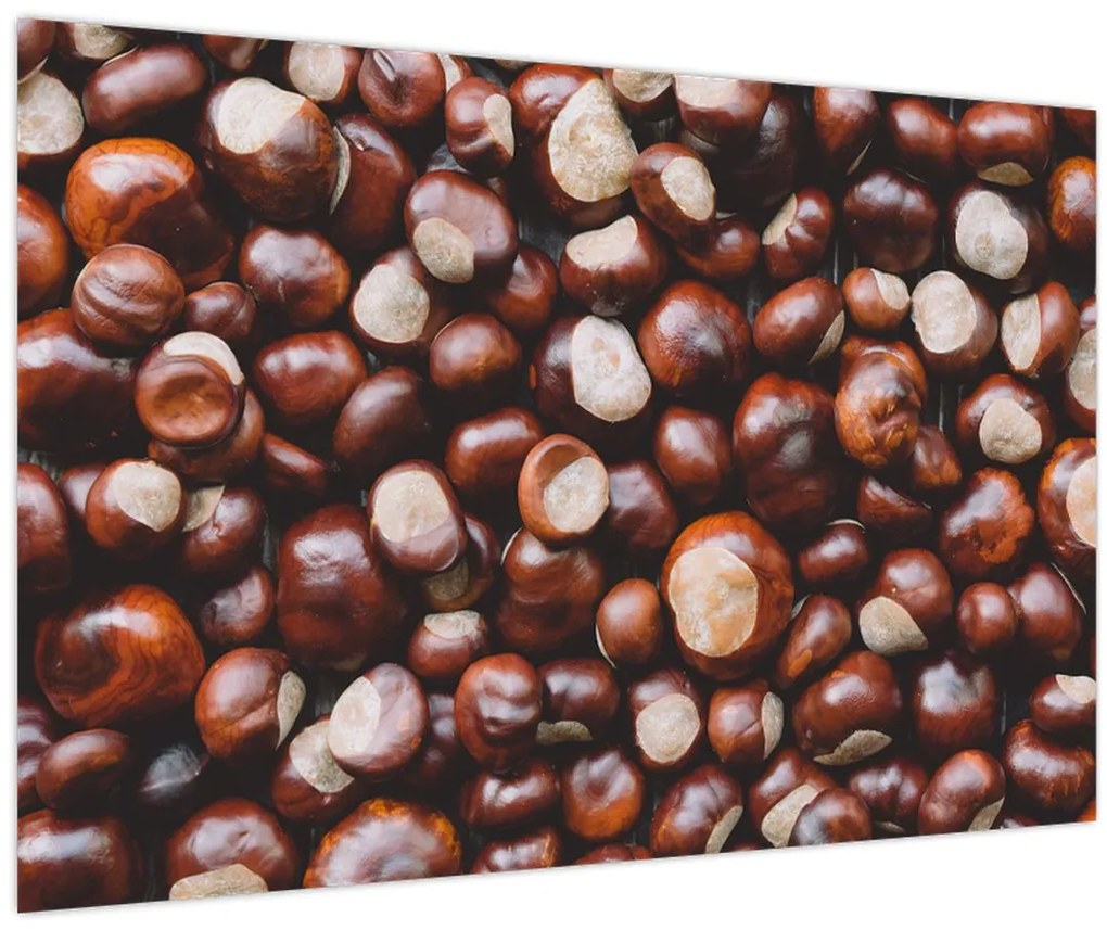 Tablou - Castane coapte (90x60 cm)