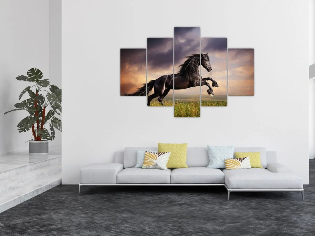 Tablou - Cai (150x105 cm)