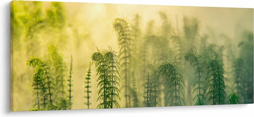 Tablou - Detaliu de primăvară natura cețoasă (120x50 cm)