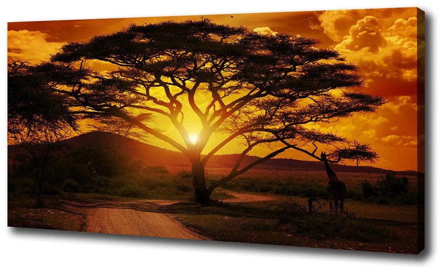 Pictură pe pânză Africa de vest