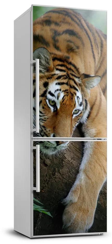 Autocolant pe frigider Tiger pe un copac