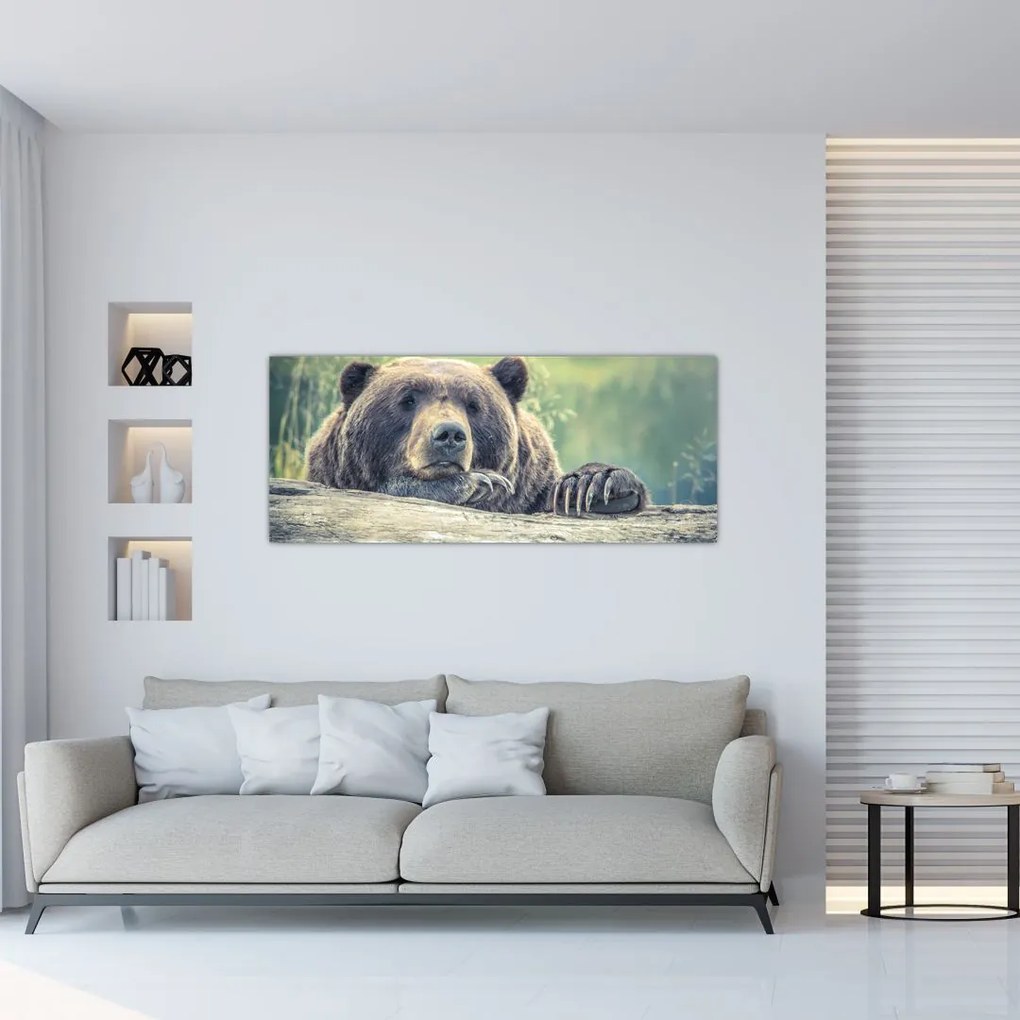Tablou cu urs (120x50 cm)