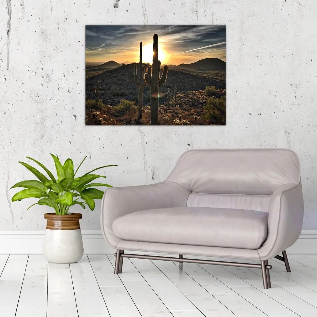 Tablou pe sticlă - cactușii la soare (70x50 cm)