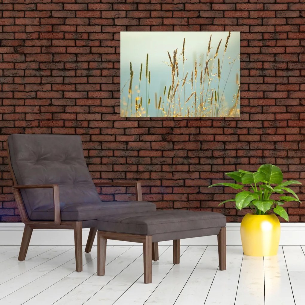 Tablou - Luncă (70x50 cm)