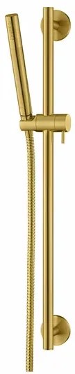 Set de dus cu bara si suport culisant Omnires Microphone auriu periat