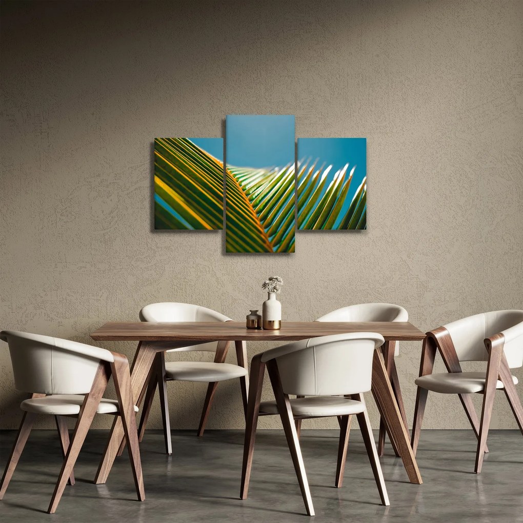 Tablou - Frunze de palmier (90x60 cm)