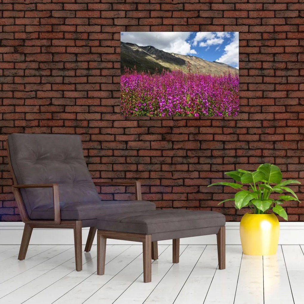 Tablou sceneriei cu lunca montană (70x50 cm)