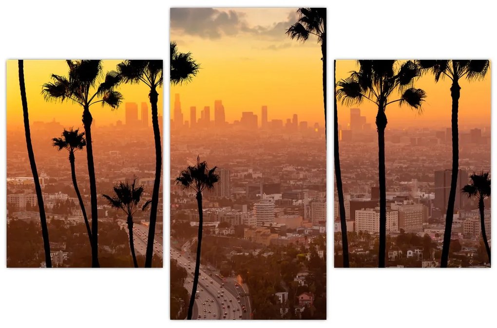 Tablou - Panorama din Los Angeles (90x60 cm)