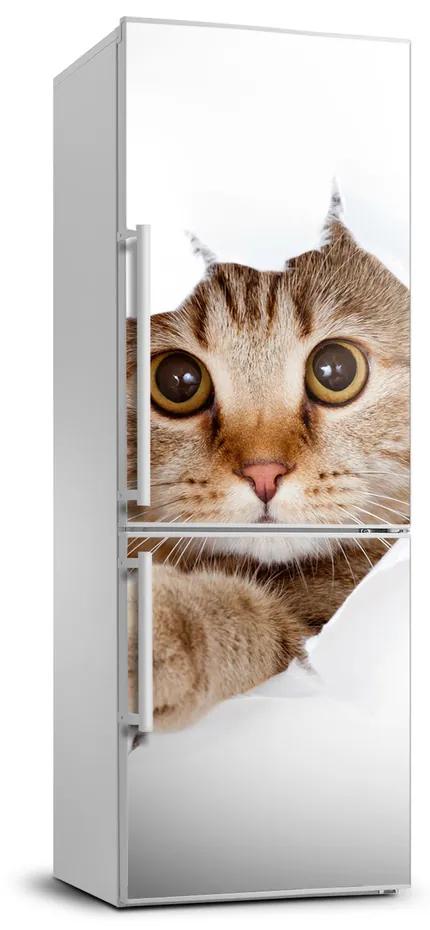 Autocolant frigider acasă pisică XL