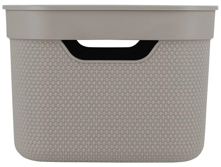Cutie de depozitare din plastic cu capac Deco - Rotho