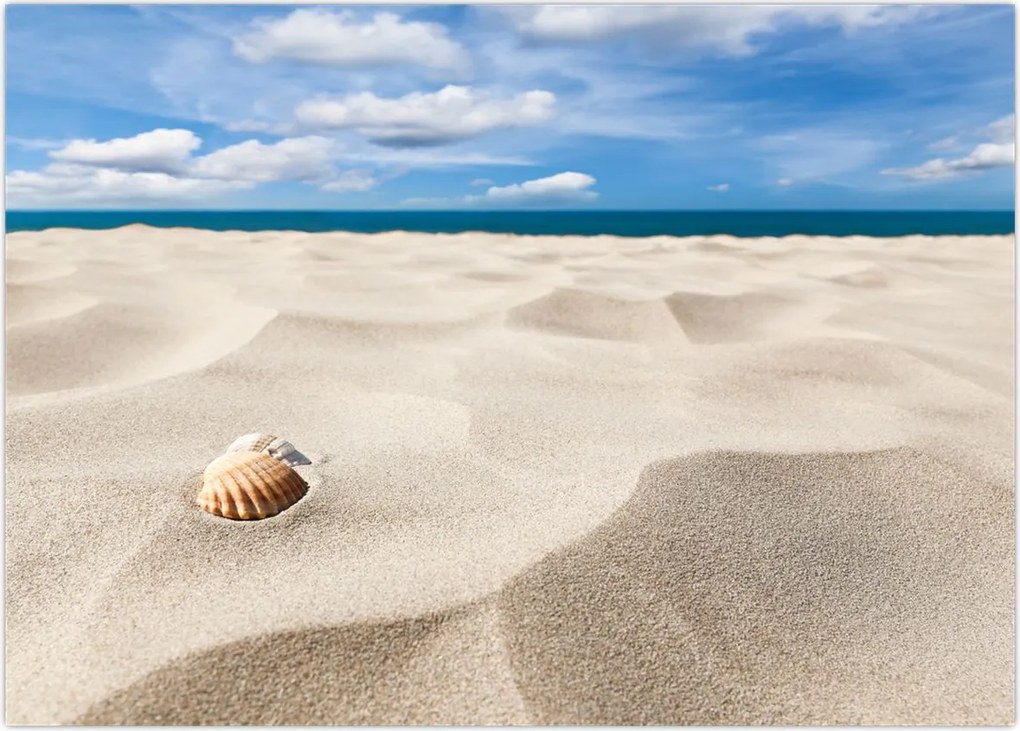 Tablou - Scoici pe plajă (70x50 cm)