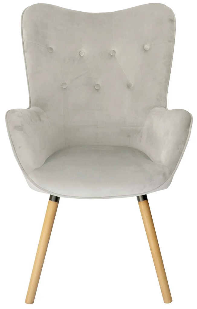 Fotoliu din catifea gri deschis COZY