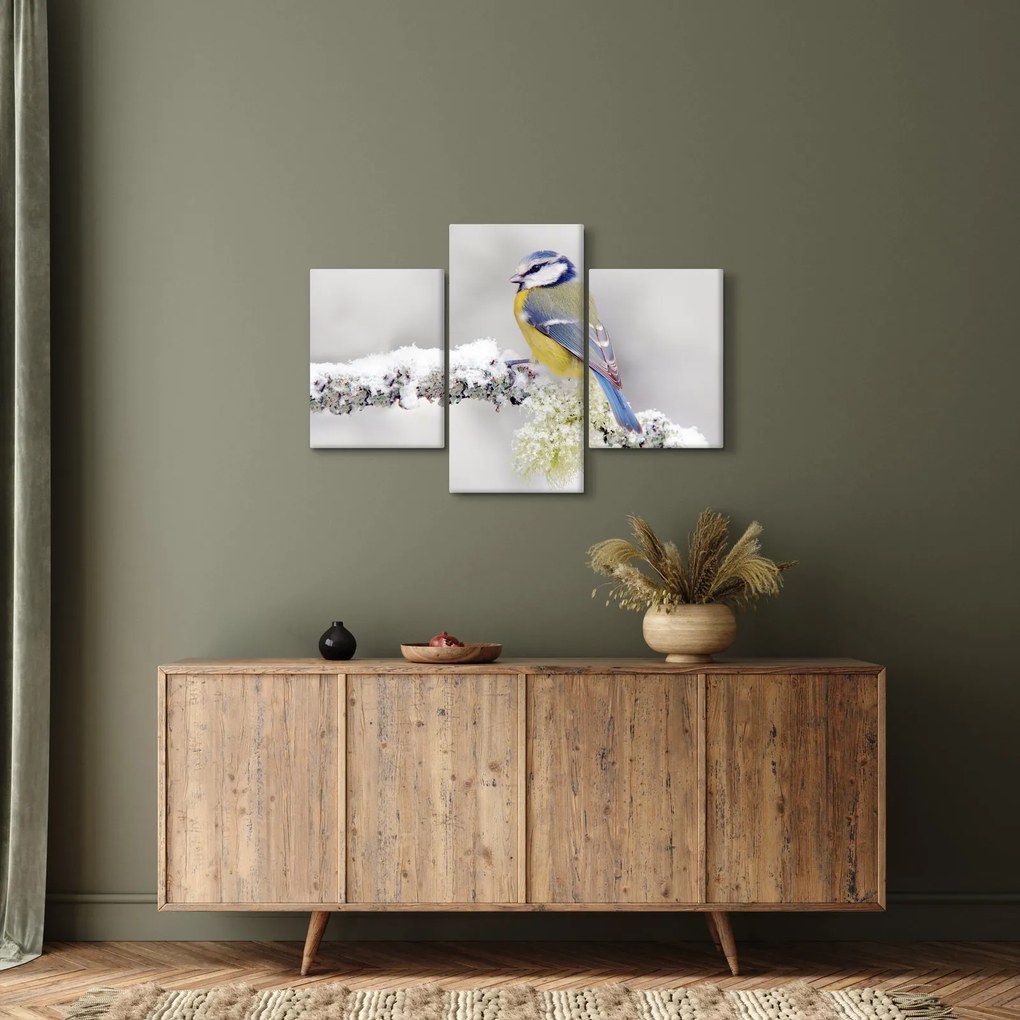 Tablou - Tit albastru în pădure (90x60 cm)