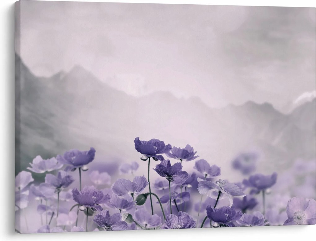 Tablou - Flori mov în munți (70x50 cm)