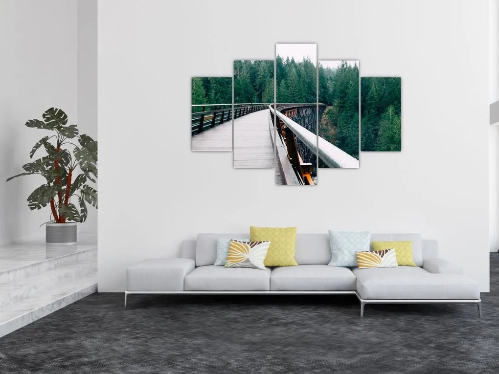 Tablou - Pod spre vârfurile copacilor (150x105 cm)