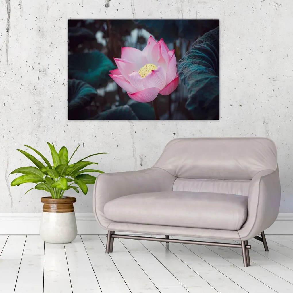 Tablou cu floare roz (90x60 cm)