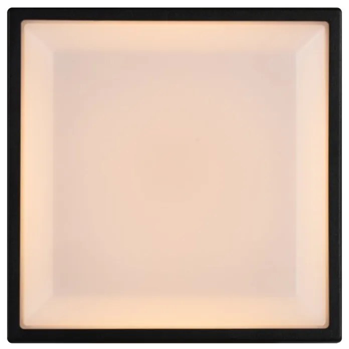 Aplica de perete / tavan exterior IP54 Oliver Black