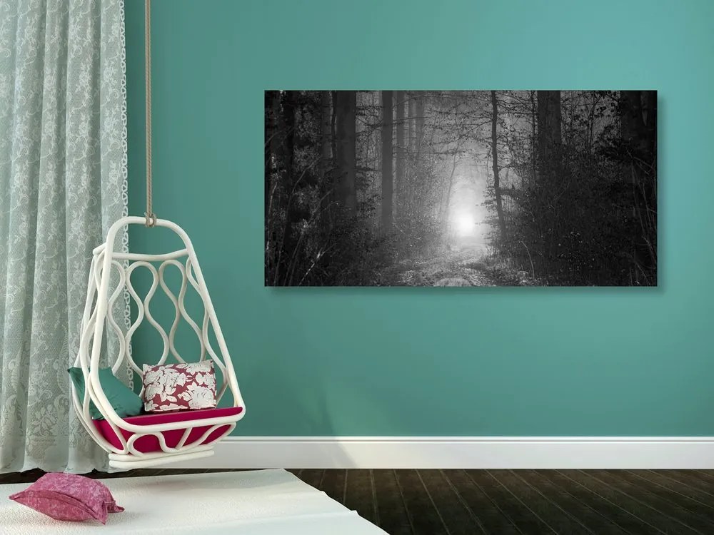Tablou lumina în pădure în design alb-negru