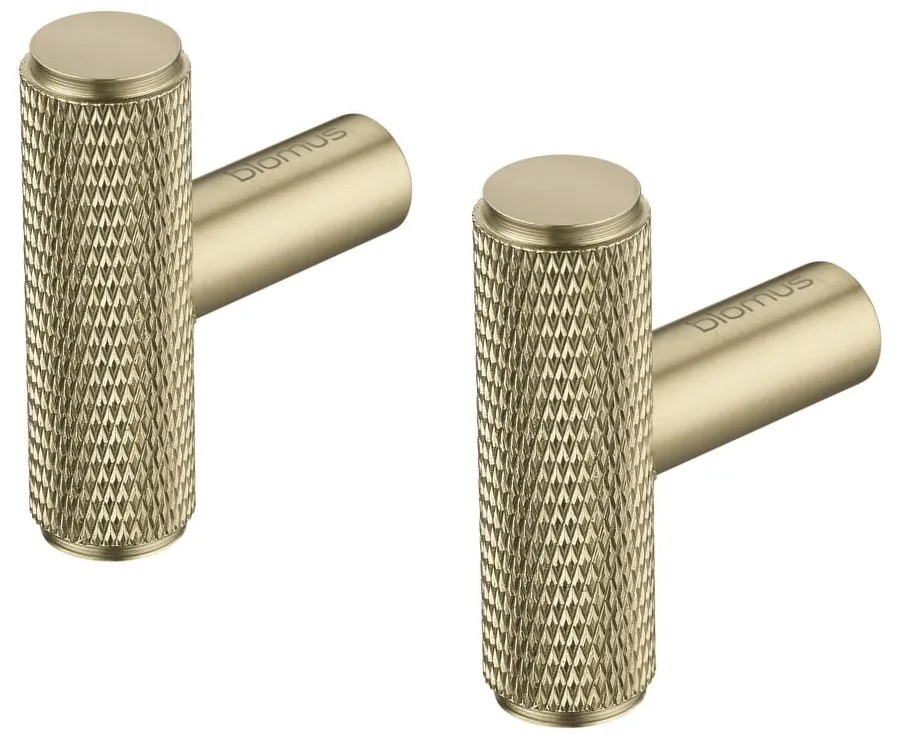 Cârlige alămii 2 buc. de montat pe perete din metal Rof – Blomus