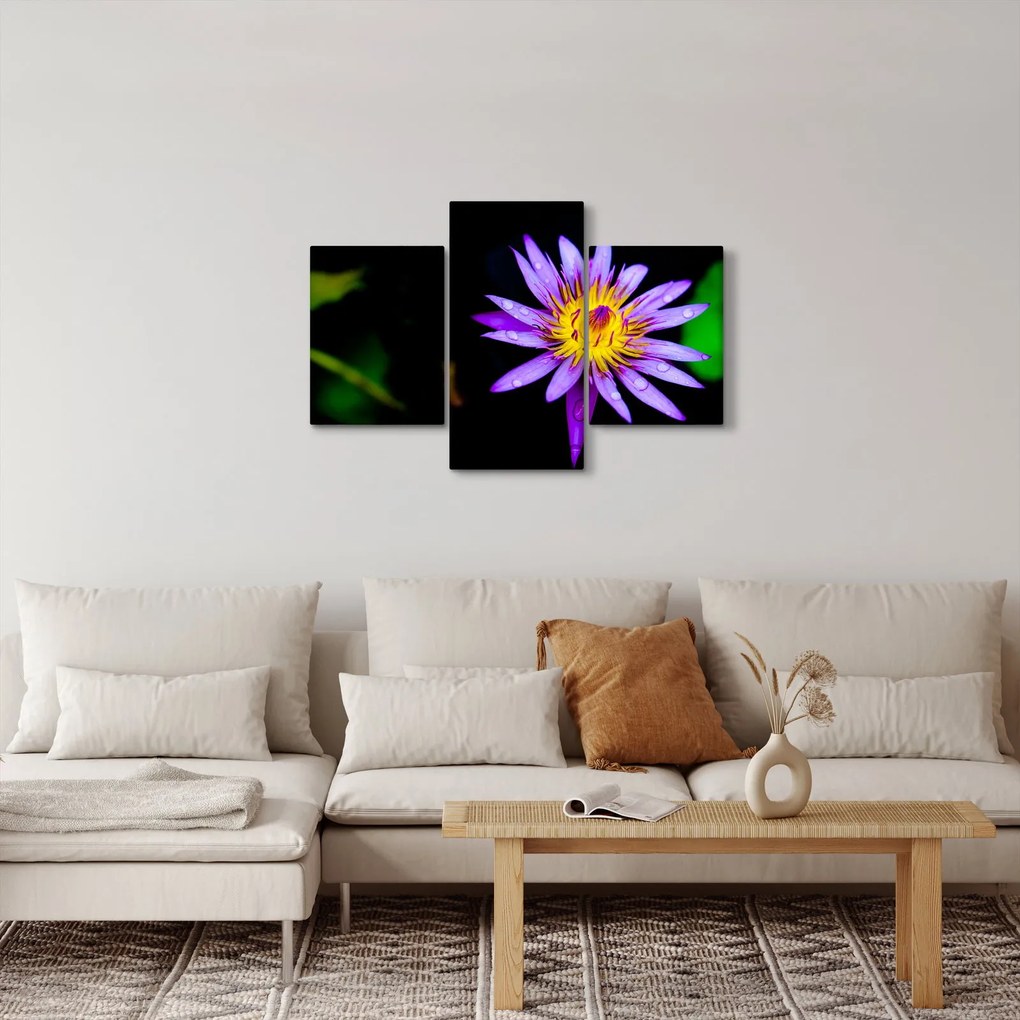 Tablou cu floare (90x60 cm)