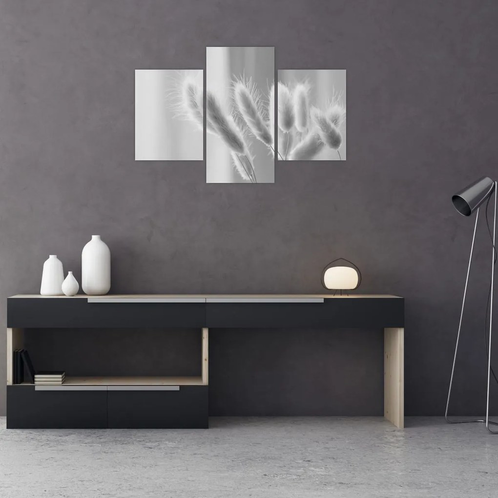 Tablou - Iarbă de coadă de iepure (90x60 cm)