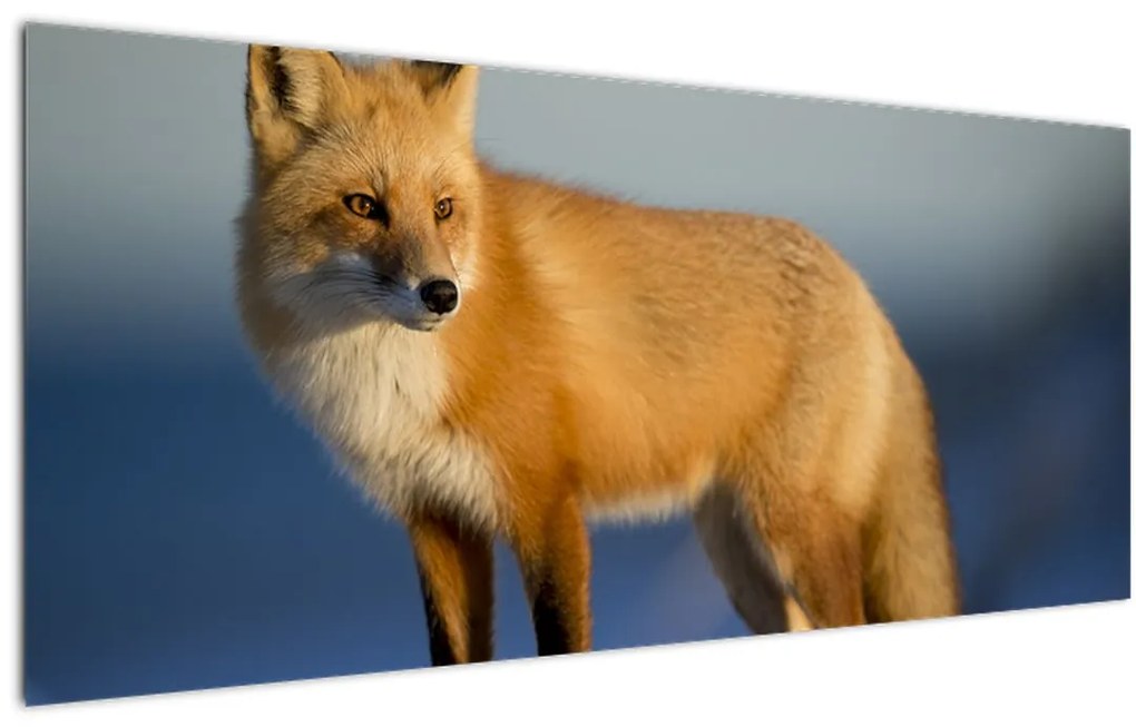 Tablou -Vulpea pe zăpadă (120x50 cm)