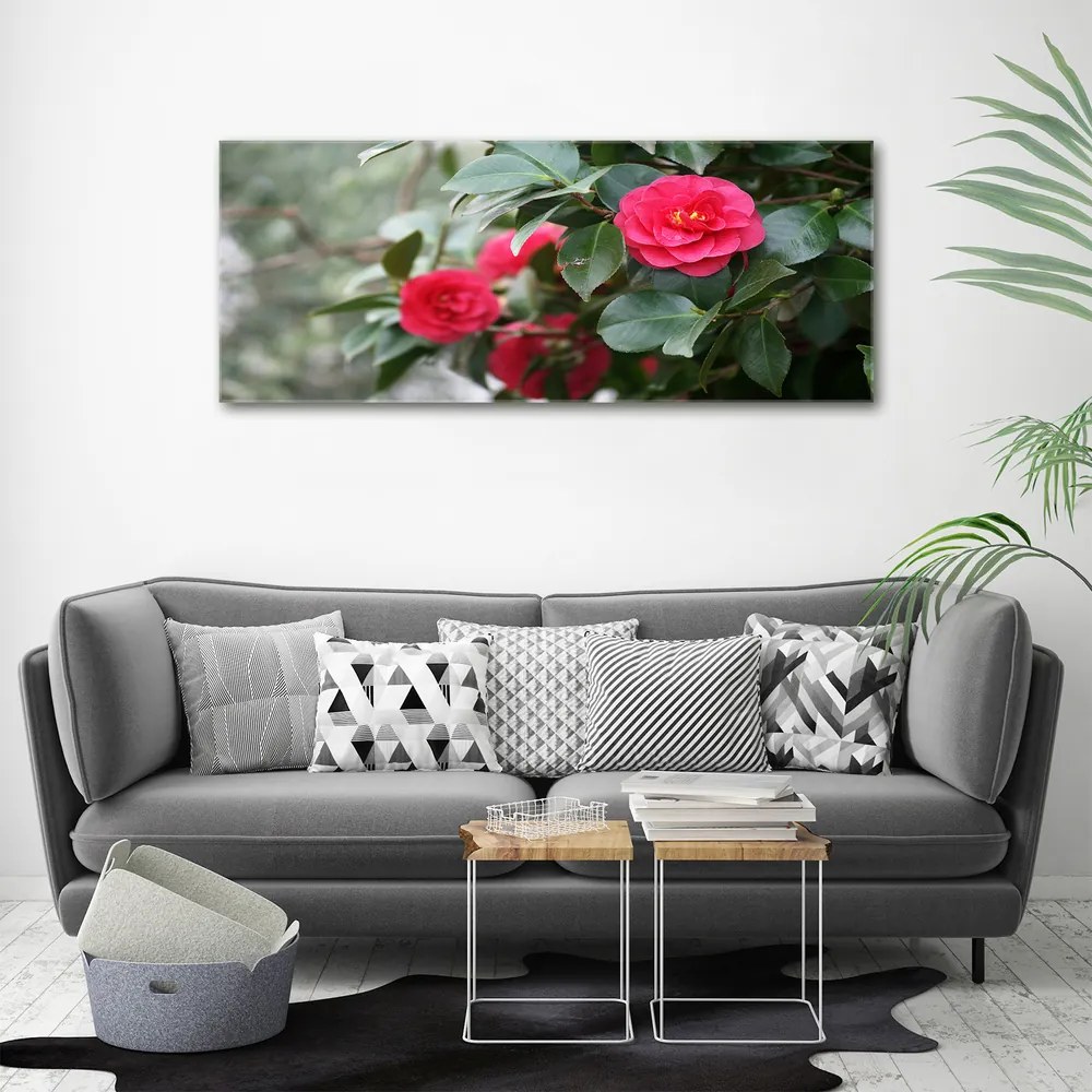 Tablou canvas Camelia
