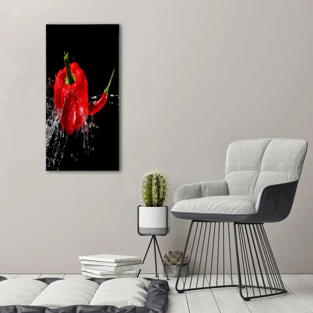 Tablou pe pânză canvas Doi ardei