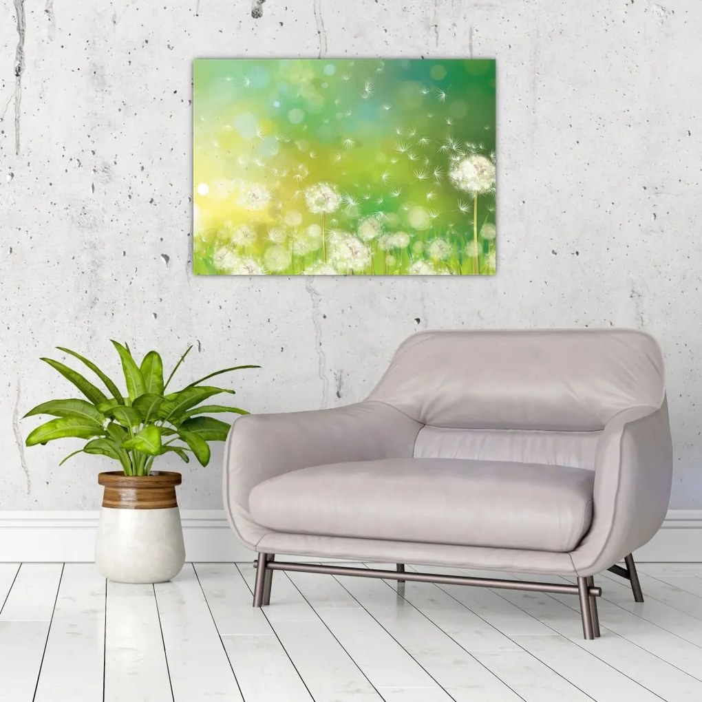 Tablou pe sticlă - Păpădie înflorită (70x50 cm)
