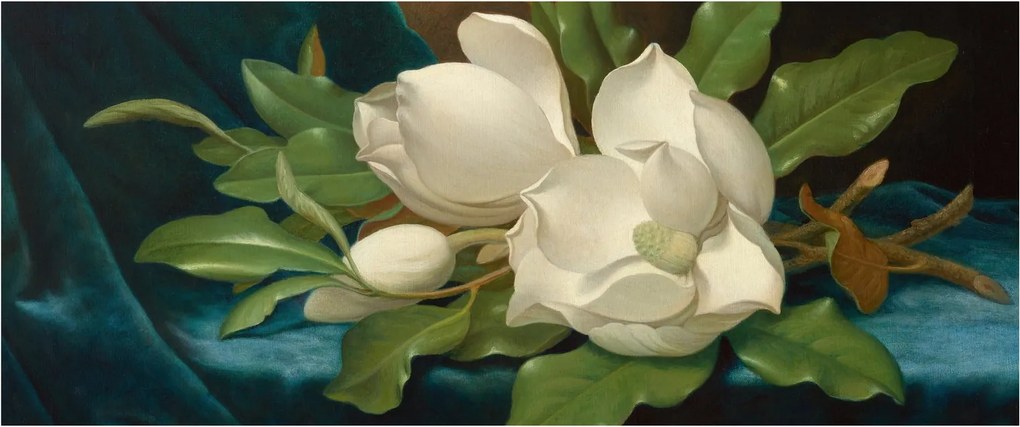 Tablou - Martin Johnson Heade, Giant Magnolias on a Blue Velvet Cloth, reproducere (120x50 cm)