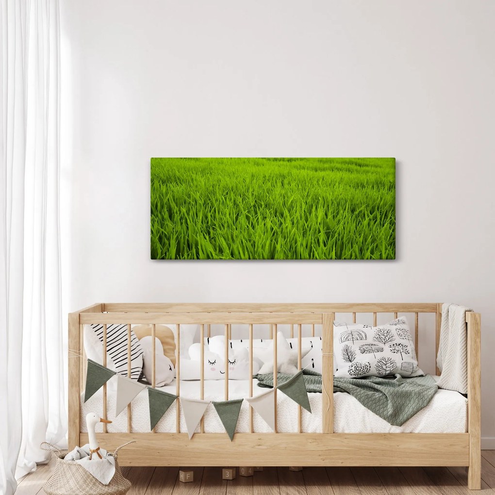 Tablou cu iaraba (120x50 cm)