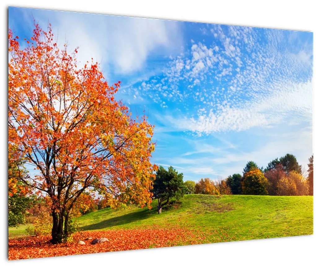 Tablou - Peisaj de toamnă (90x60 cm)