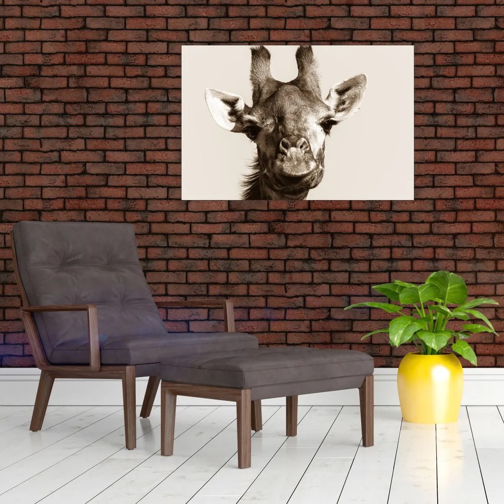 Tablou - Portret de girafă, de epocă (90x60 cm)