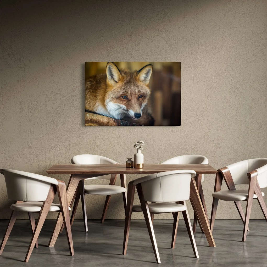 Tablou cu vulpe (90x60 cm)