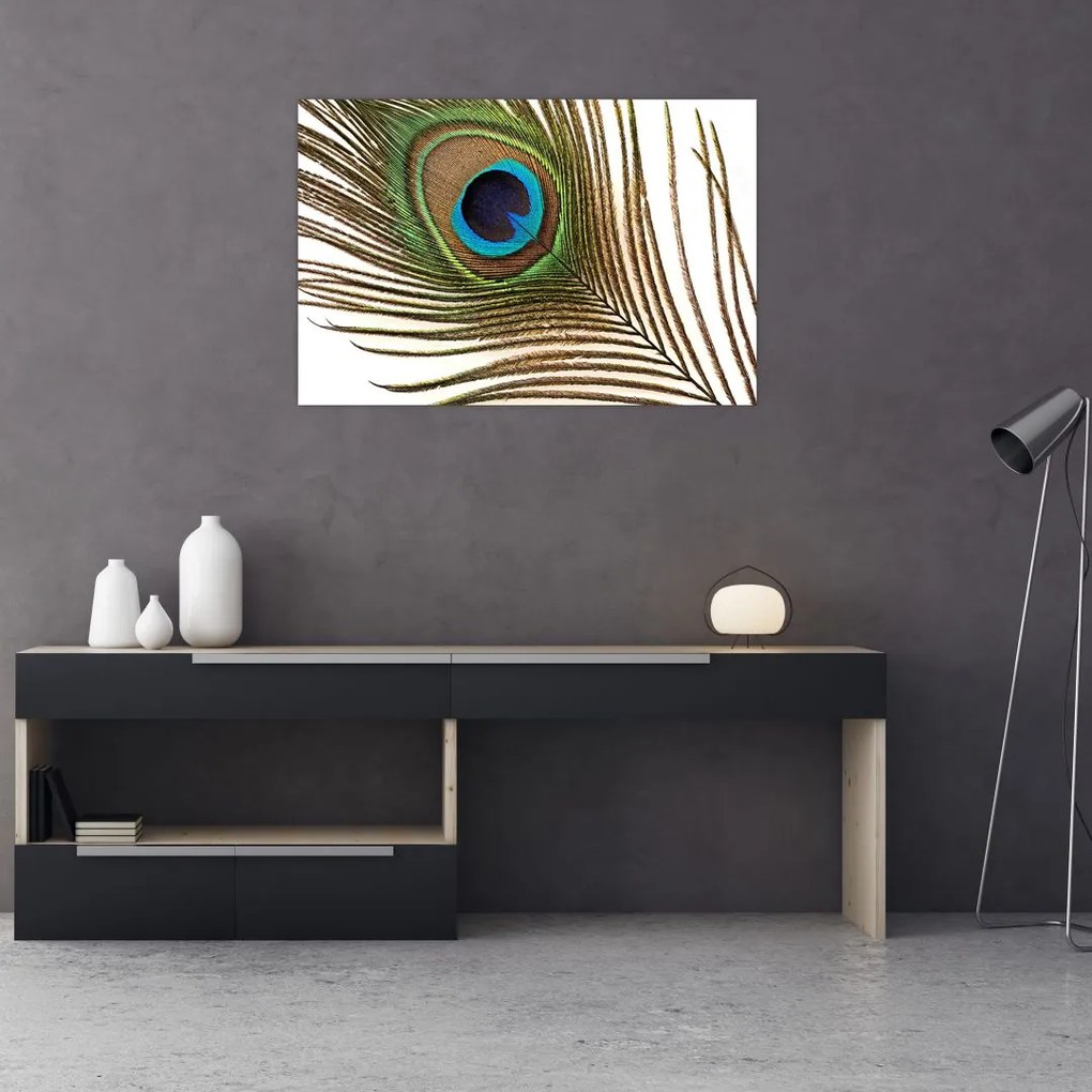 Tablou cu pene de păun (90x60 cm)