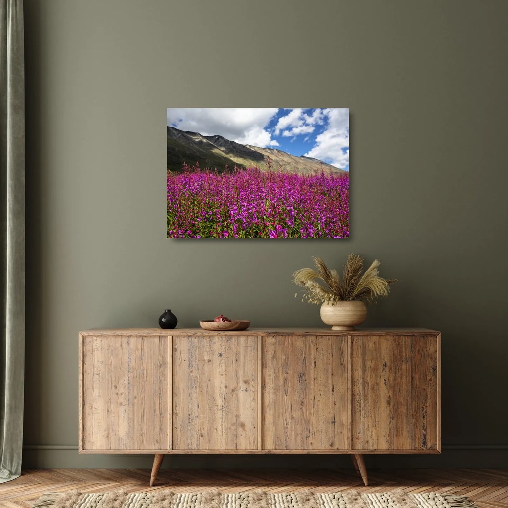 Tablou pe sticlă sceneriei cu lunca montană (70x50 cm)